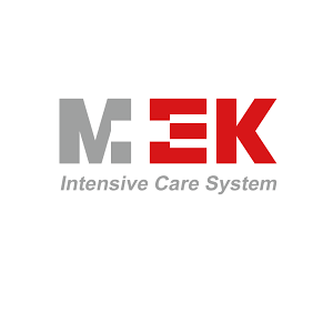 Kết quả hình ảnh cho MEK-ICS logo, png